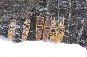 Snowblast snow shoes