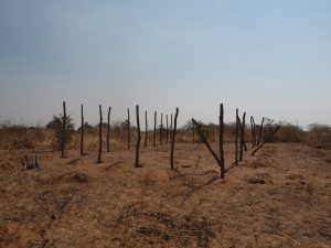 beginnings-of-singalamwe-church-building